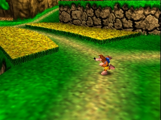 Banjo-Kazooie image